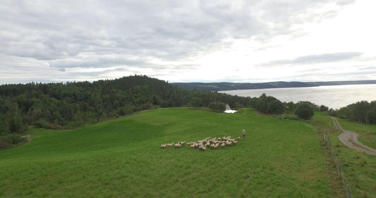 La Vieille Ferme, Ecogite Saint-Fulgence Екстер'єр фото
