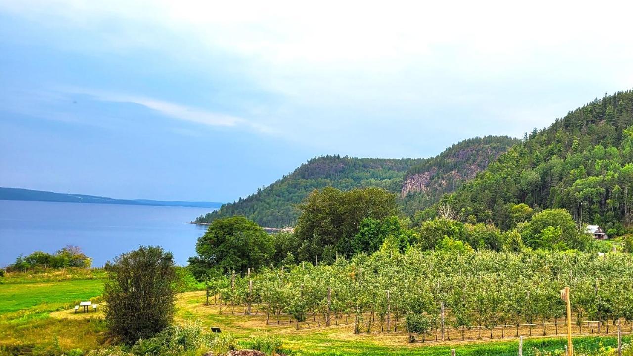 La Vieille Ferme, Ecogite Saint-Fulgence Екстер'єр фото
