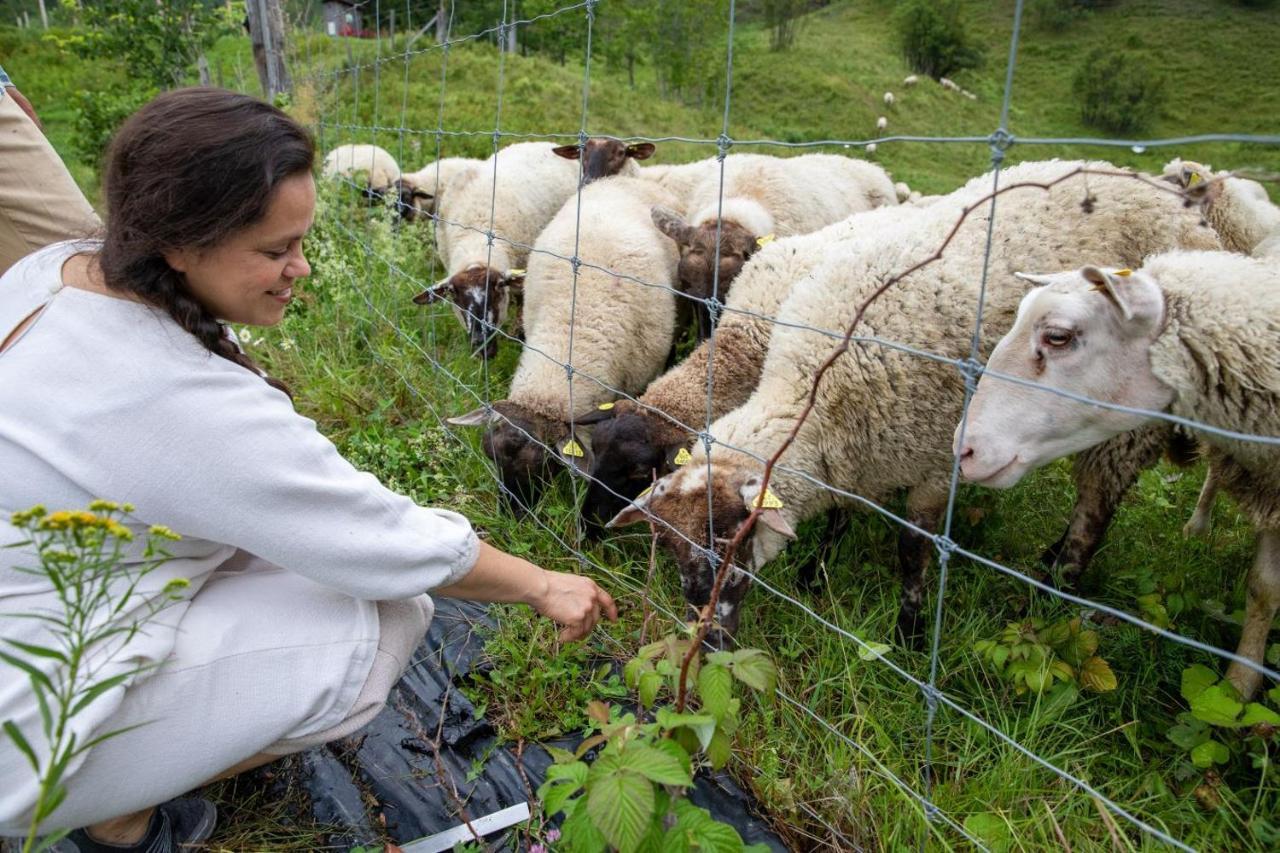 La Vieille Ferme, Ecogite Saint-Fulgence Екстер'єр фото