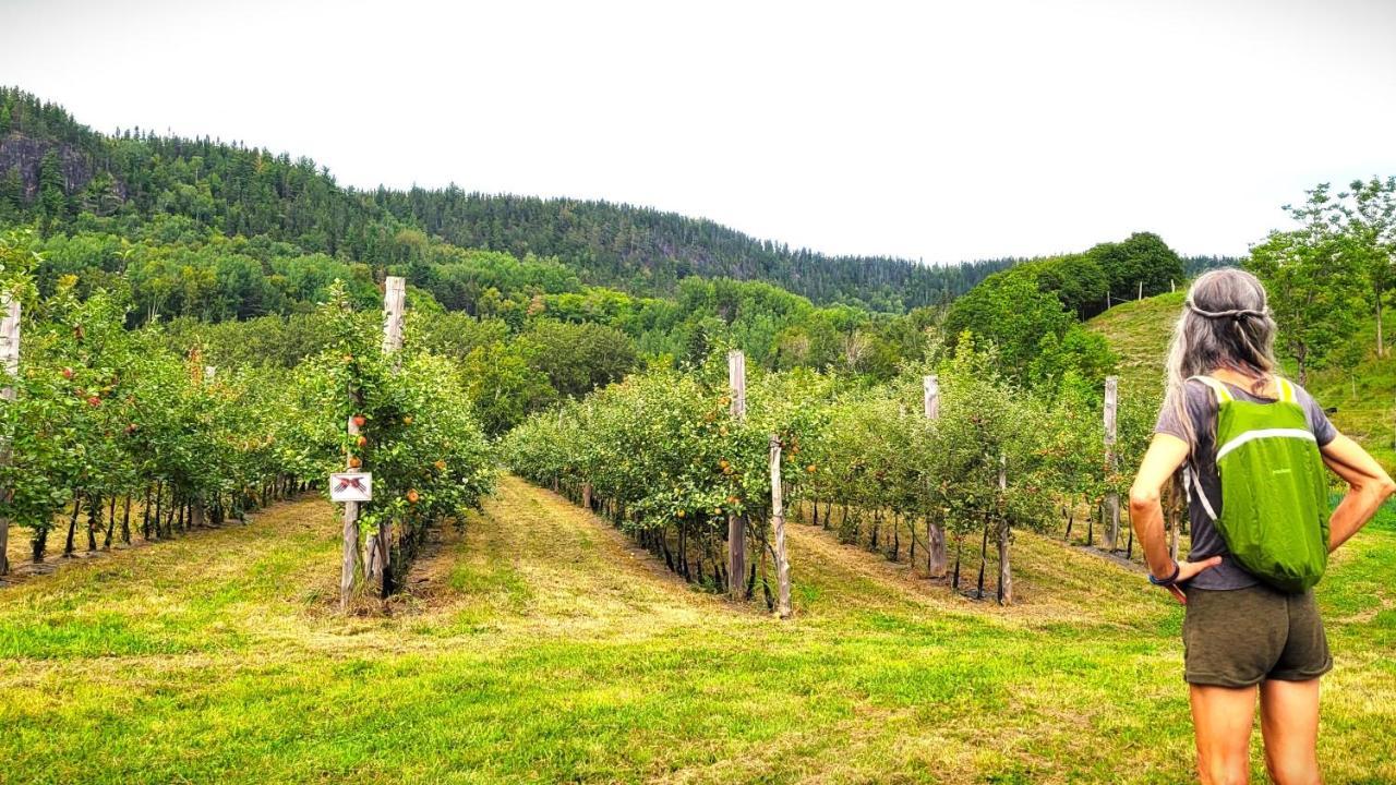 La Vieille Ferme, Ecogite Saint-Fulgence Екстер'єр фото