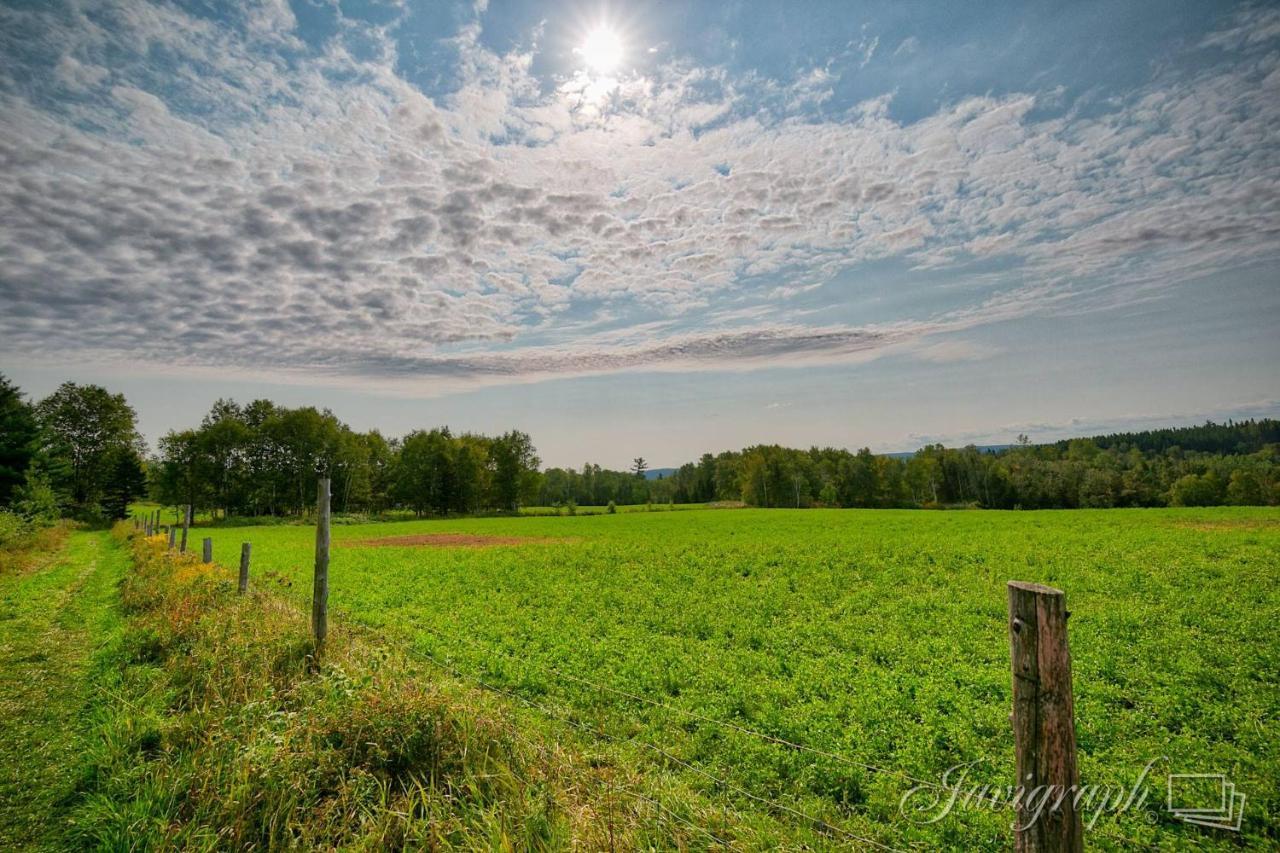 La Vieille Ferme, Ecogite Saint-Fulgence Екстер'єр фото