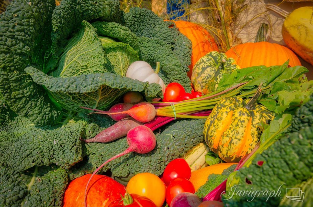 La Vieille Ferme, Ecogite Saint-Fulgence Екстер'єр фото